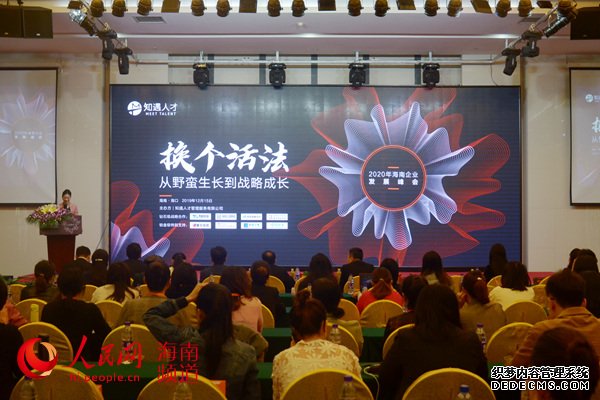 海南企业发展峰会成功举办200位企业高管参加